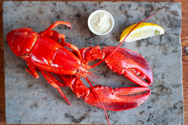 Kanadensisk hummer ca 500 g – Isfisk Stockholm