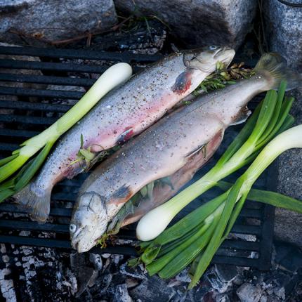 Recept med hel färsk fisk och grönsaker från Isfisk