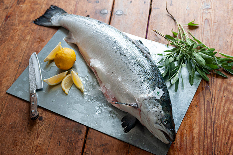 Färsk hel lax (utan antibiotika, ej fryst) – Isfisk Stockholm